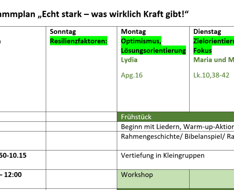 Programmplan 
